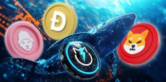 Why Whales Are Shopping for These Meme Cash: Dogecoin, Shiba Inu, JetBolt, and Dogwifhat