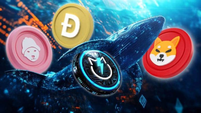 Why Whales Are Shopping for These Meme Cash: Dogecoin, Shiba Inu, JetBolt, and Dogwifhat
