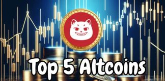 Prime 5 Altcoins Set to Disrupt with 700% Returns within the Fee Lower FOMO Surge