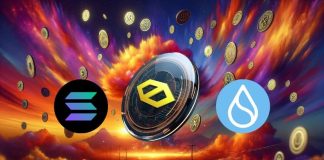 Solana Worth Prediction: SOL Holds Sturdy Above $200, CYBRO and SUI Comply with With Upside Potential