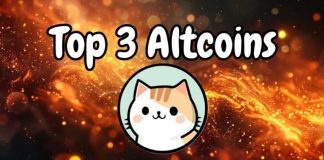 Analyst Reveal Prime Three Cash to Watch because the Crypto Market Heats Up — Don’t Miss Inexperienced Waves