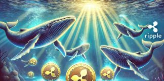 Ripple Whales Quietly Purchase $526 Million in XRP, Signaling Market Optimism Ripple Whales Quietly Purchase $526 Million in XRP, Signaling Market Optimism