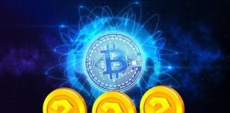 Should-buy Altcoins to Seize Earlier than Bitcoin Hits $100Okay