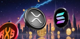 Turning $990 into $990000: In 2017 It Was Ripple (XRP), in 2021 It Was Solana (SOL), What’s the Subsequent Excessive-ROI Altcoin?