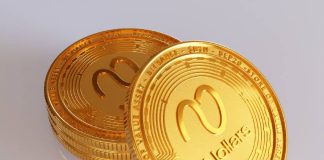 Nollars Token Presale Nears 10,000 $NOLA Presold as ROI Predictions Prime Gold’s (AU) Good points on Yr