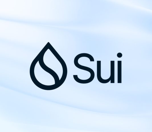 SUI Value Crashes 10% As Blockchain Goes Darkish, Halting Block Manufacturing