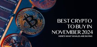 Finest Cryptos to Put money into 2024: Ethereum, Cardano, Polkadot, and Qubetics