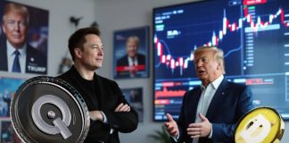 Why This Donald Trump Announcement About Elon Musk Is Very Bullish For The Dogecoin Worth