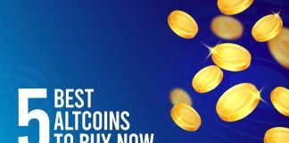 5 Greatest Altcoins to Purchase Now (100x Potential in 2024-2025)