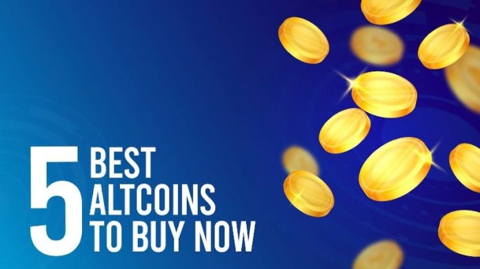 5 Greatest Altcoins to Purchase Now (100x Potential in 2024-2025)