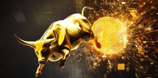 Prime Altcoins for Crypto Bull Run: Is Your Portfolio Prepared To Generate 100x Revenue? Prime Altcoins for Crypto Bull Run: Is Your Portfolio Prepared To Generate 100x Revenue?