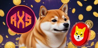 This May Be the Subsequent Cryptocurrency to Flip $1000 into Tens of millions: The New Shiba Inu (SHIB)