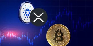 Is Bitcoin’s $100Okay Stability Paving the Method for an Altcoin Rally? ADA and XRP Able to Explode, However What About This New Meme Gem?