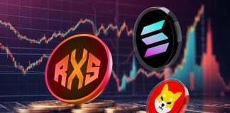 $630 in This Altcoin May Attain $63,000 within the Subsequent 100 Days & It Isn’t Solana (SOL) or Ripple (XRP)