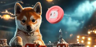 DOGE and SHIB Gas Market Pleasure; Whales Eye New Crypto Gem for Large Positive factors