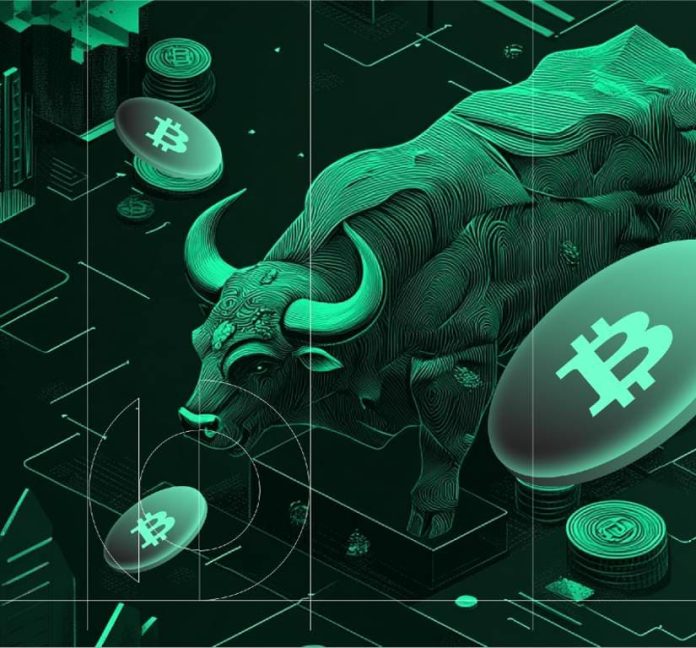 If Bitcoin Breaks $100,000 The place Will The Good Cash Be Invested? Will Solana ETF Be Accredited In 2025?