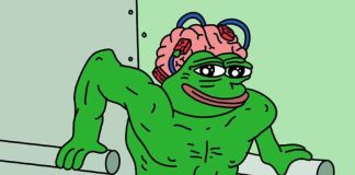 $PEPU, $STARS, $FLOCK, and Different Rising Memes Getting ready For 100X Positive factors