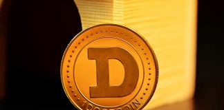 What The 50-Day Transferring Common At $0.22 Says About The Dogecoin Worth