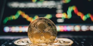 Can Ripple (XRP) Break Into Prime 5 On CMC? As New ERC 20 Token Makes Waves On The ETH Community And Crypto Fans Hoard Cardano