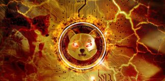 Shiba Inu Eyes Explosive Progress: Over 200% Surge Forward, Analyst Says
