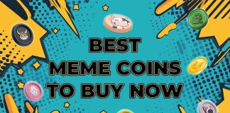 The 5 Finest New Meme Cash to Purchase Now and Maximise Your Earnings!