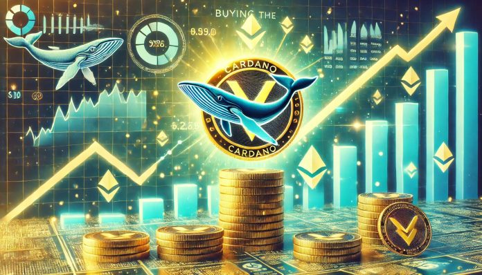 Cardano Whales Purchase The Dip – Metrics Present Rising Demand