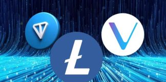 With the Market on Pause, Ought to You Spend money on Toncoin, Litecoin, and VeChain? Value Views Inside
