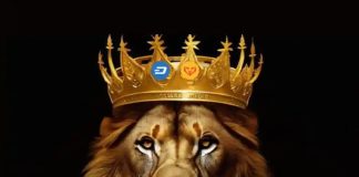 INLEO and Sprint Accomplice for Seamless Social Media Cryptocurrency Earnings