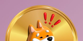 Is BONK Rally In Jeopardy? Technical Indicators Verify Weak spot