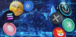 Greatest Crypto To Put money into 2024 | High 10 Cryptocurrencies To Purchase For the Bull Run