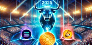 High three Cryptos To Purchase Forward Of 2025 Bull Rally: SOL, MTAUR, BONK High three Cryptos To Purchase Forward Of 2025 Bull Rally: SOL, MTAUR, BONK