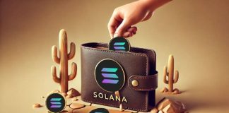 Dexx Hack Investigation Unveils Over 8,600 Solana Pockets Hyperlinks: SlowMist Report