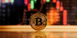 Bitcoin Value Enters Parabolic Part Of Cycle After Surge To $98,000 – Analyst Bitcoin Value Enters Parabolic Part Of Cycle After Surge To $98,000 – Analyst