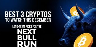 Three Finest Altcoins to Purchase in December 2024 After US Elections: Large Strikes Forward!+