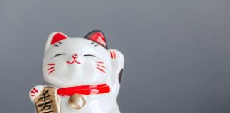 Cutoshi (CUTO) Is Pioneering The Future Of MemeFi, Mixing Meme Cash With DeFi: The place To Purchase $CUTO
