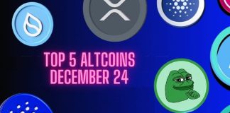 5 Should-Have Altcoins for December 2024 You’ll Want You Purchased Earlier 5 Should-Have Altcoins for December 2024 You’ll Want You Purchased Earlier