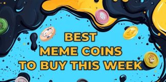 6 Greatest New Meme Cash to Purchase This Week Forward of Subsequent Bull Run