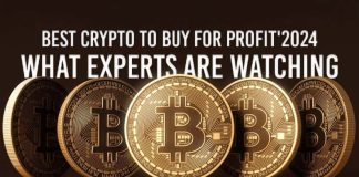 High Performing Cryptos in December 2024: Cash With Most Potential