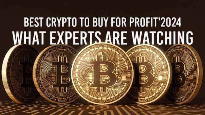 High Performing Cryptos in December 2024: Cash With Most Potential