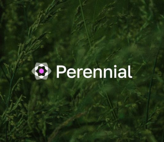 Perennial Unveils a Novel Intent Layer for Perpetuals – Fixing DeFi’s Fragmented Liquidity Drawback Perennial Unveils a Novel Intent Layer for Perpetuals – Fixing DeFi’s Fragmented Liquidity Drawback