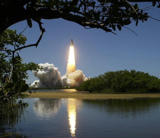 Hedera Breakthrough Second: HBAR Rockets Over 800% – Particulars