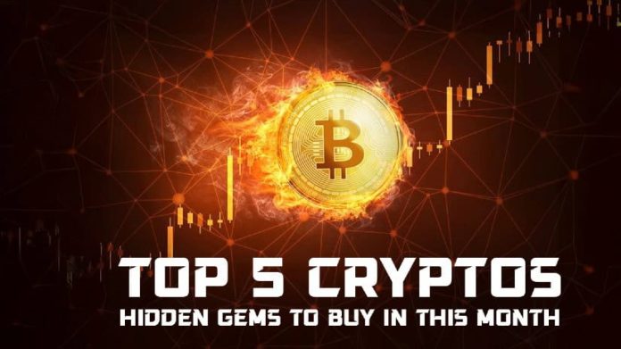 High Crypto Picks of the Week: 5 Cash With Excessive Potential for Breakouts in December