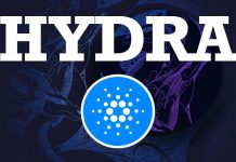Hydra Outclasses Visa: Cardano Processes 2 Billion Transactions – Impression On ADA Value