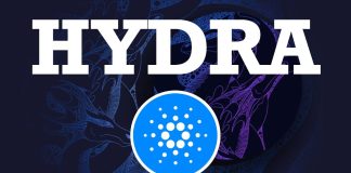 Hydra Outclasses Visa: Cardano Processes 2 Billion Transactions – Impression On ADA Value