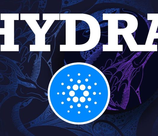 Hydra Outclasses Visa: Cardano Processes 2 Billion Transactions – Impression On ADA Value