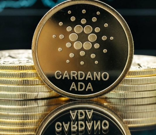 Dogecoin Days At The Prime Numbered? Cardano Set To Take Over — Analyst