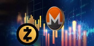 Monero (XMR) and ZCash (ZEC) Take Heart Stage in Privateness Cash Market: Extra Upside Forward?