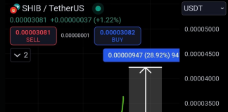 Shiba Inu Braces For Rally – Analyst Sees 35% Worth Surge – Particulars