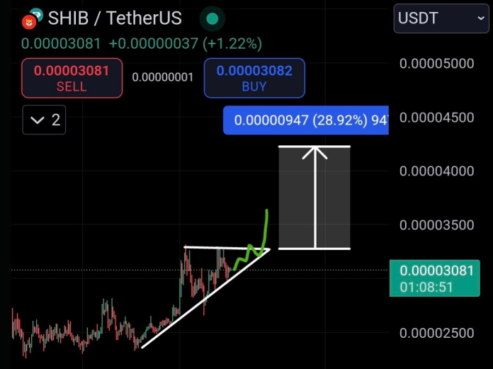 Shiba Inu Braces For Rally – Analyst Sees 35% Worth Surge – Particulars