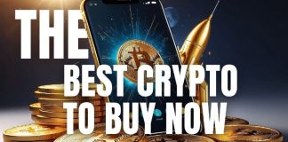 The Greatest Crypto To Purchase Now – High Picks For December 2024 
